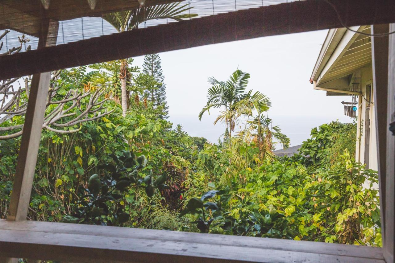 Kona Hawaii Guest House A Unique Hawaii Experience Keauhou Exteriör bild