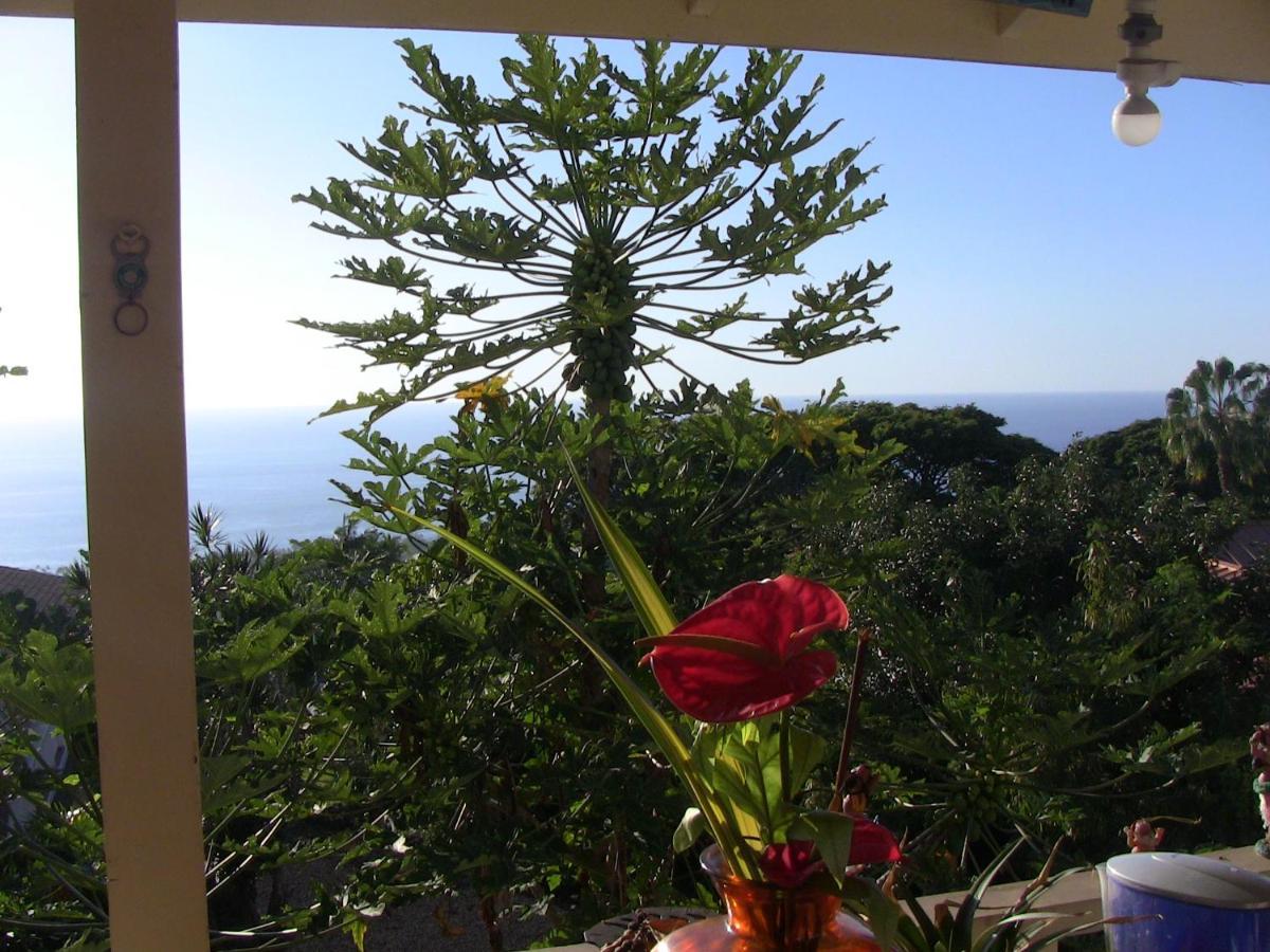 Kona Hawaii Guest House A Unique Hawaii Experience Keauhou Exteriör bild
