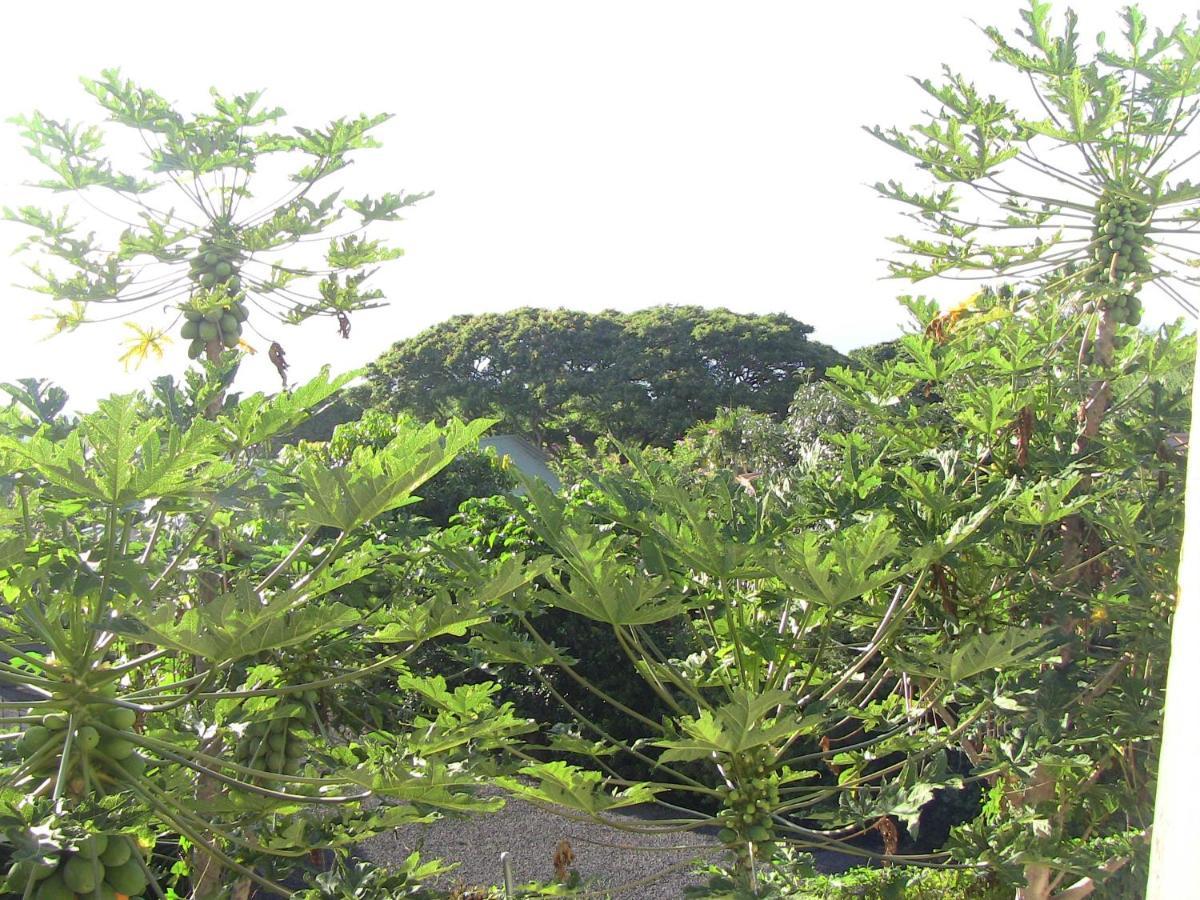 Kona Hawaii Guest House A Unique Hawaii Experience Keauhou Exteriör bild