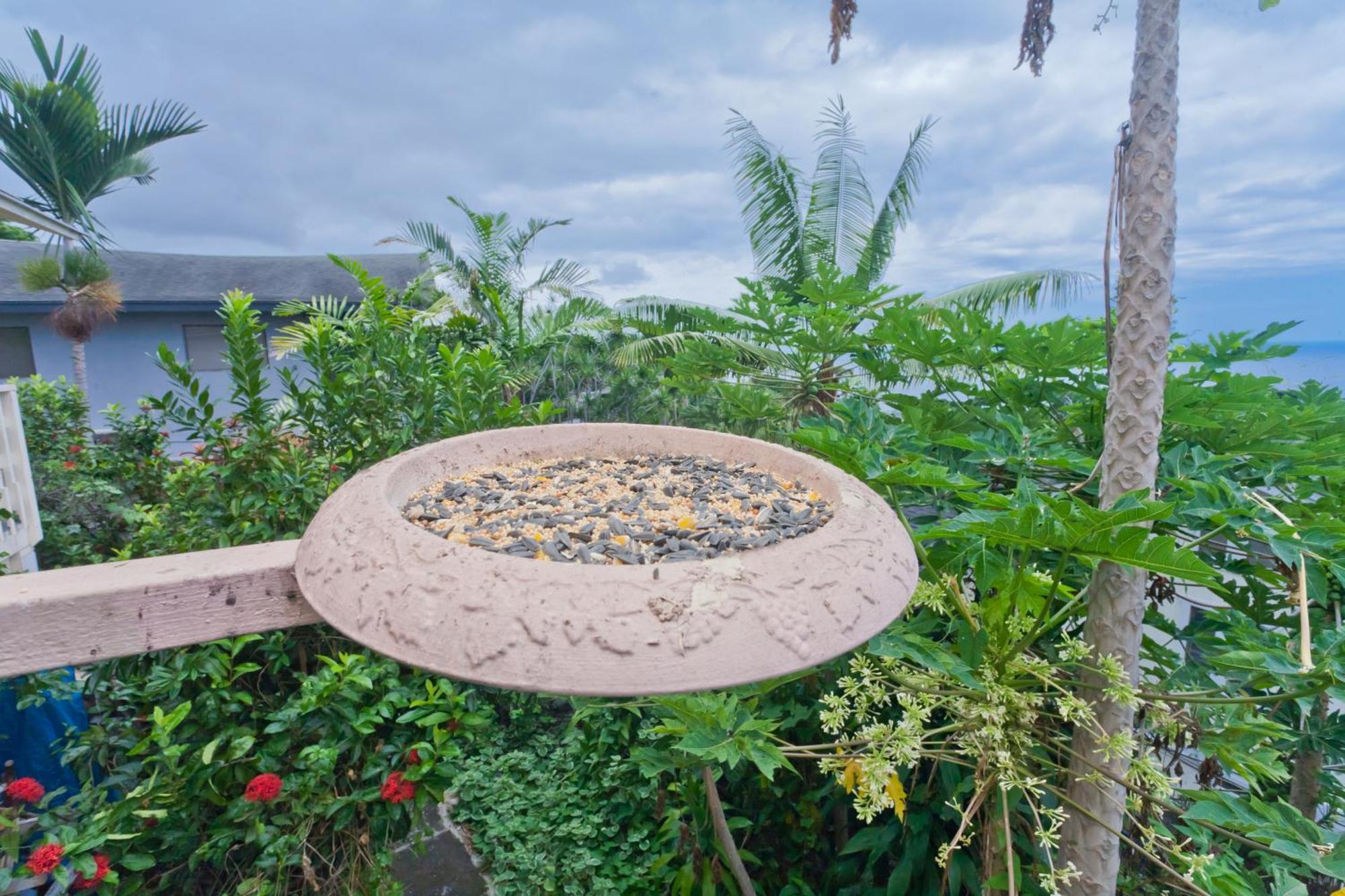 Kona Hawaii Guest House A Unique Hawaii Experience Keauhou Exteriör bild